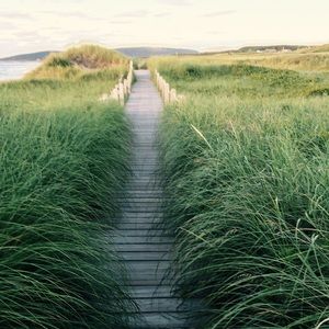 Meet your Posher, Chatele